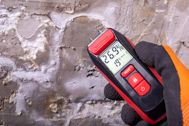 Best Water Damage Restoration  in Cameron Park, TX