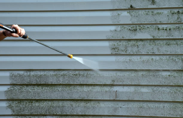 Best Fast Mold Removal  in Cameron Park, TX