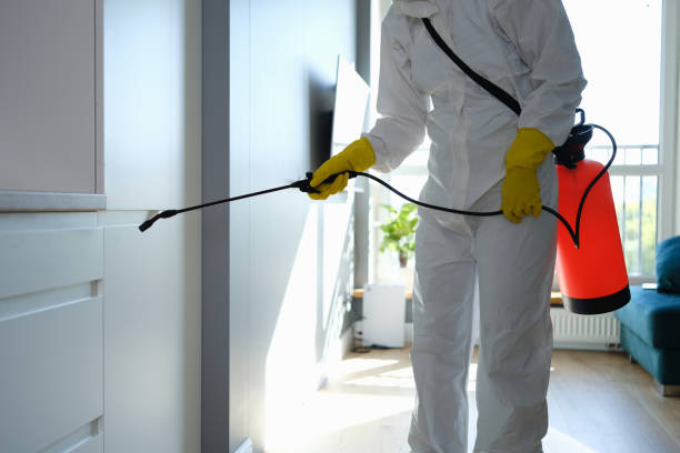 Best Toxic Mold Removal  in Cameron Park, TX