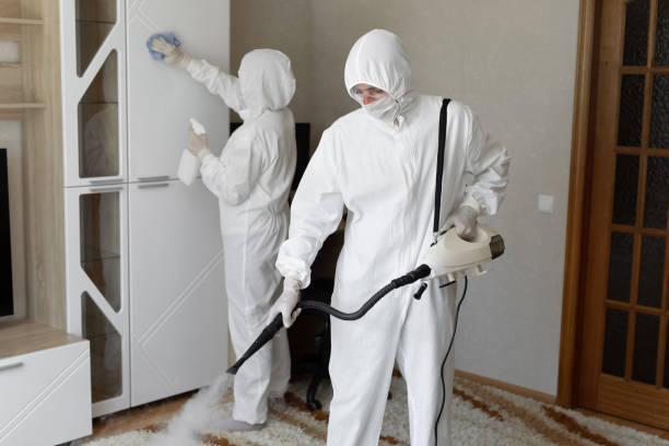 Best Commercial Mold Removal  in Cameron Park, TX