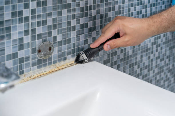 Mold Testing and Removal in Cameron Park, TX